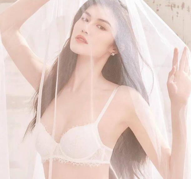 文胸的罩杯分类,胸衣的外型款式分类